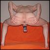 Stretching shaved asshole and tied balls